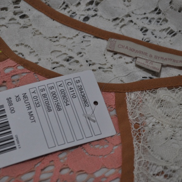 Anthropologie CHAMPAGNE & STRAWBERRY Lace Shirt XS - Picture 3 of 3